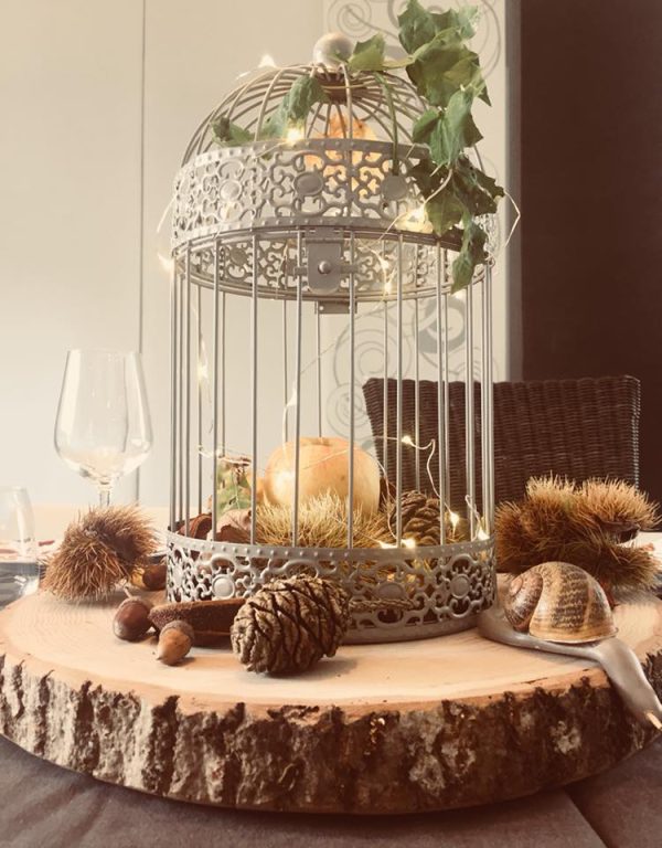 Cage à oiseaux