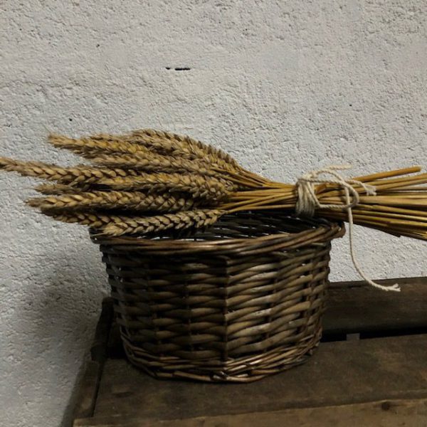 Panier en osier